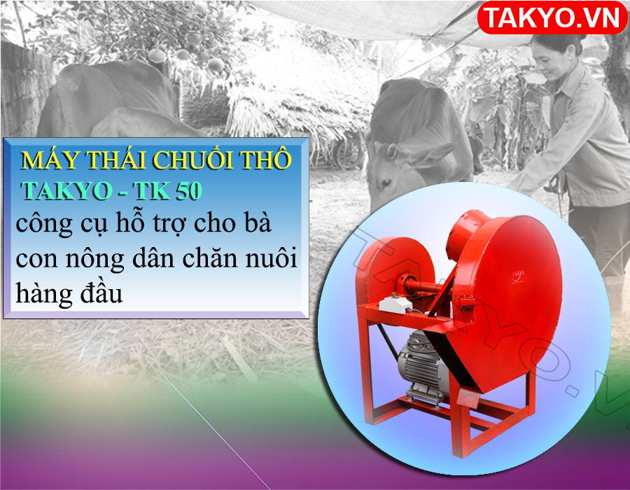 Lý do nên mua máy băm thái chuối đa năng Takyo TK 50