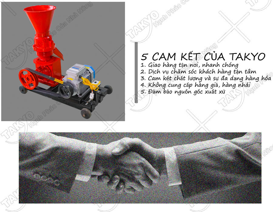 Cam kết của chúng tôi