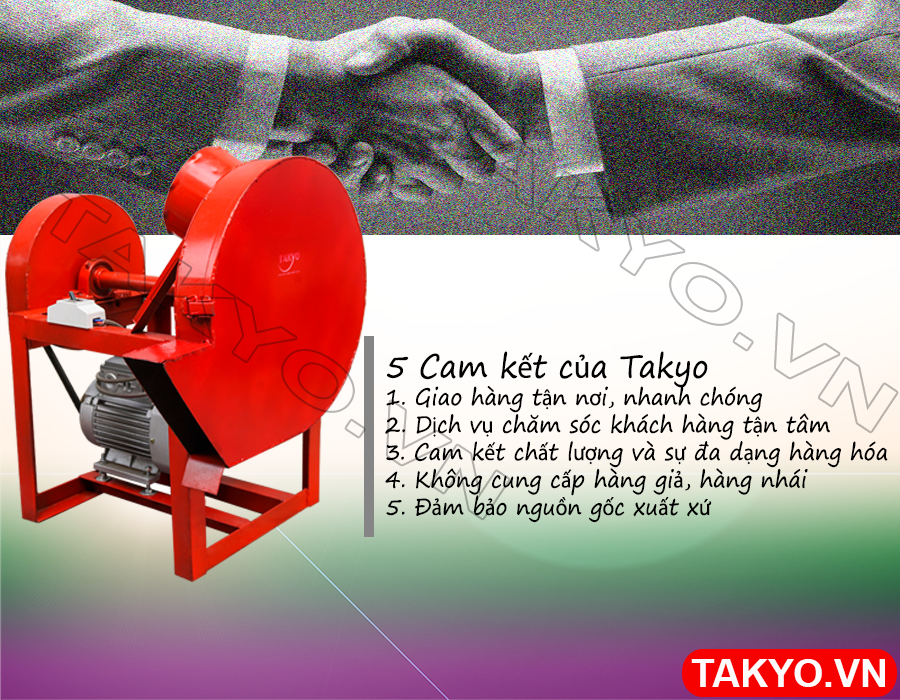 Cam kết của chúng tôi