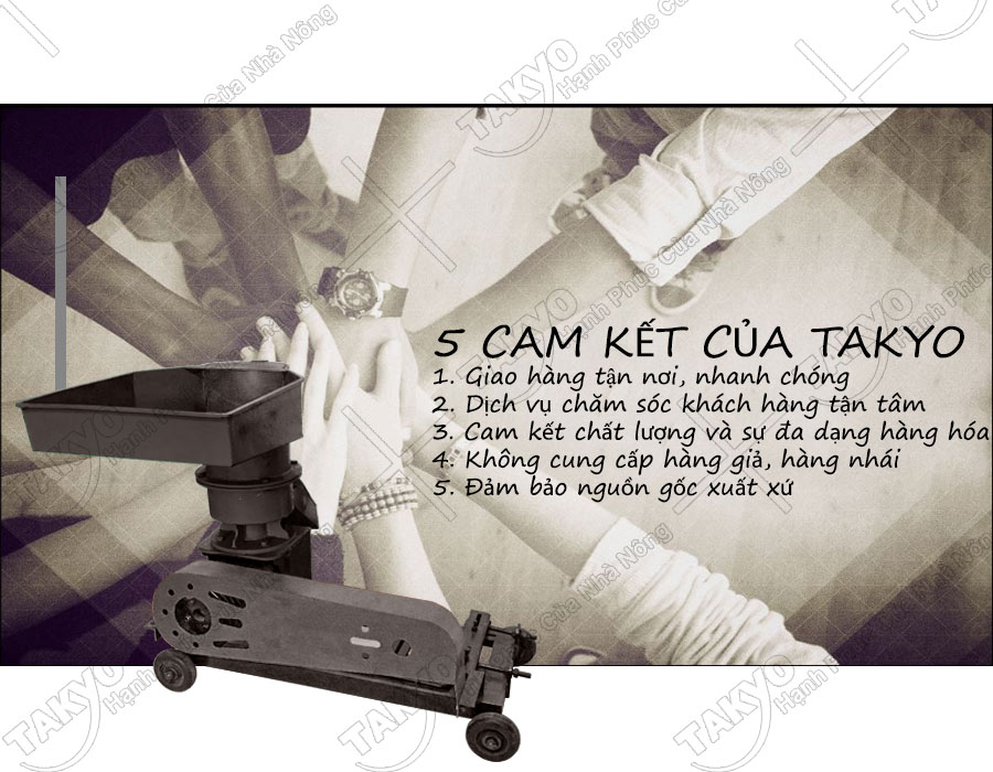 Cam kết của chúng tôi