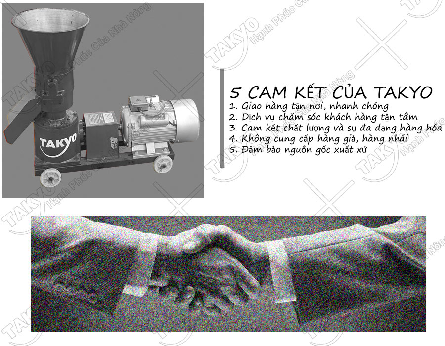 Cam kết của chúng tôi