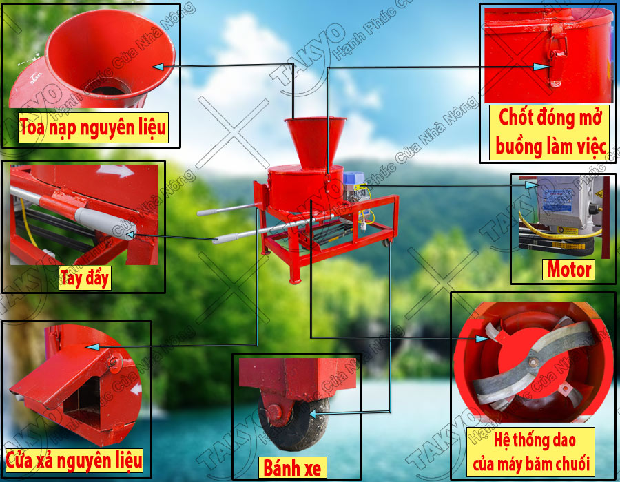 Cấu tạo của máy băm thái chuối Takyo TK3000