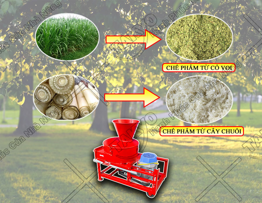 Chế phẩm sau khi sử dụng máy băm chuối Takyo TK3000