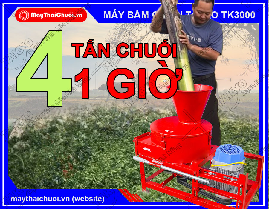 Năng suất của máy băm chuối Takyo TK3000