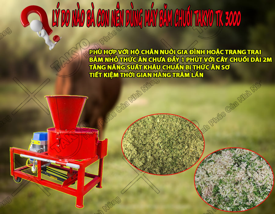 Những lý do mà bà con ở Tiền Giang nên chọn mua máy băm chuối Takyo TK3000 