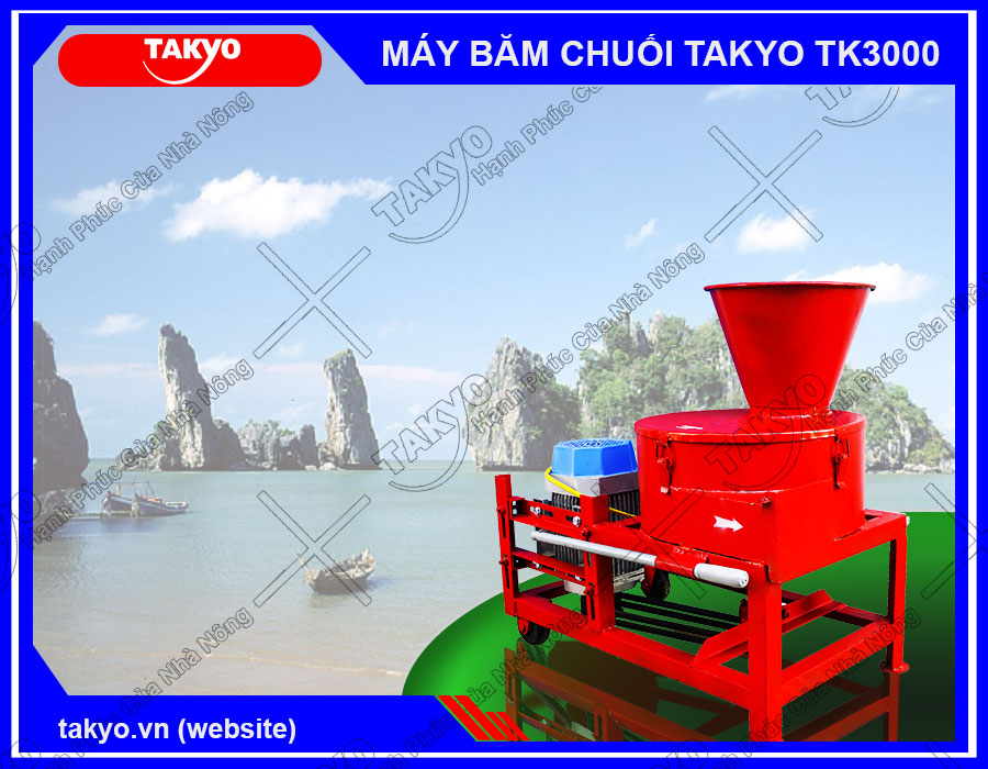 Máy băm chuối đa năng Takyo TK3000 cho lợn tại Kiên Giang