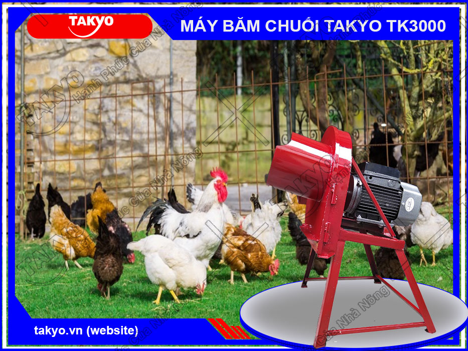 Máy băm chuối Takyo TK1500 cho gà
