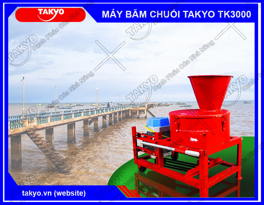 Máy băm chuối Takyo TK 3000 tại Tiền Giang