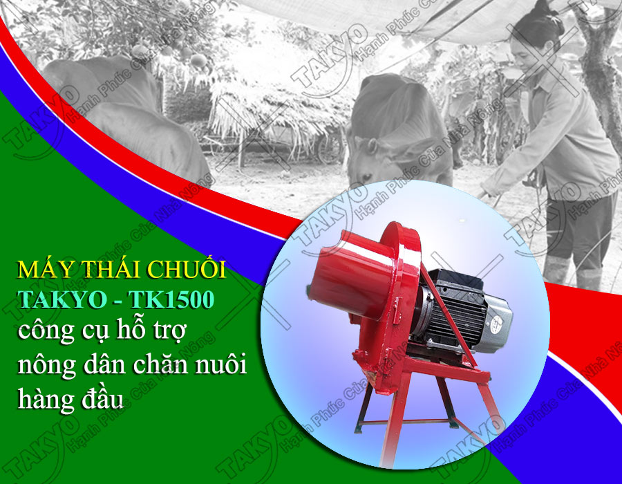Máy băm chuối Takyo TK1500 được sử dụng phổ biến