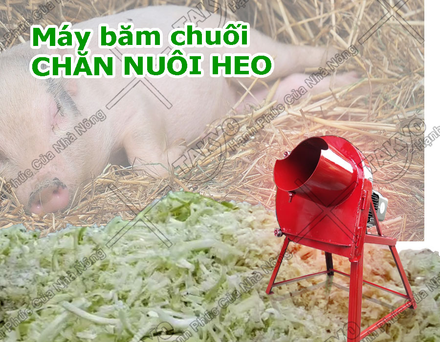 Máy băm chuối mịn Takyo TK1500