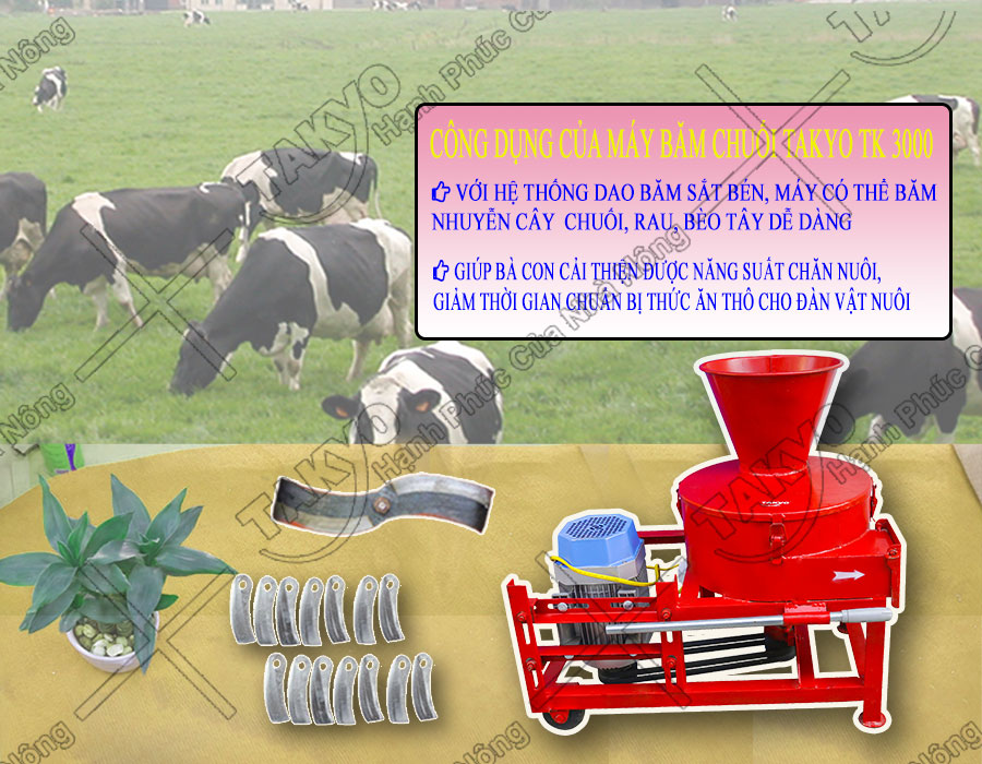 Lưu ý khi sử dụng máy băm chuối Takyo TK3000