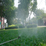 BÌNH XỊT ĐIỆN TAKYO TK 20 - Ảnh 14
