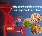 Máy băm nghiền buồng thẳng TAKYO TK 10 - Ảnh 3