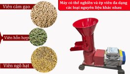 Máy ép cám viên trục liền Takyo TK 180 - Ảnh 7