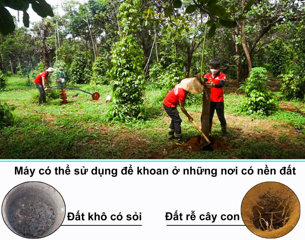 Máy có thể khoan được lỗ với dạng đất khô có sỏi và đất rễ cây non