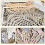 Buồng lọc rác - tạp chất trong lúa của hệ thống máy xát gạo Takyo