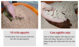 Vỏ trấu nguyên và cám đã được nghiền min sau khi xát gạo trắng qua dây chuyền máy xát gạo Takyo Xl-21