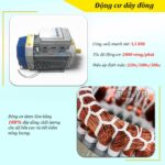 Động cơ của máy xát gạo Takyo TK 250 T